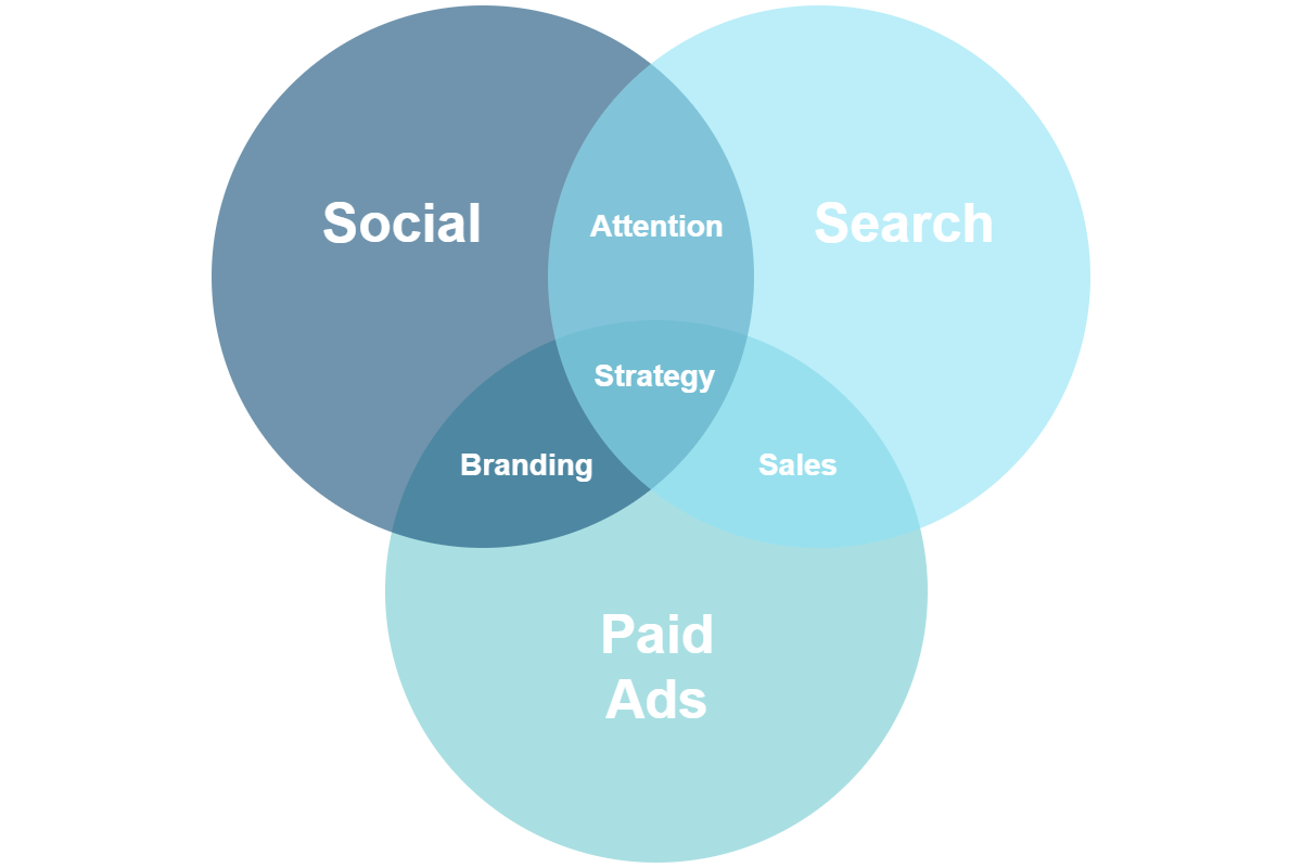 Social Search Paid Ads