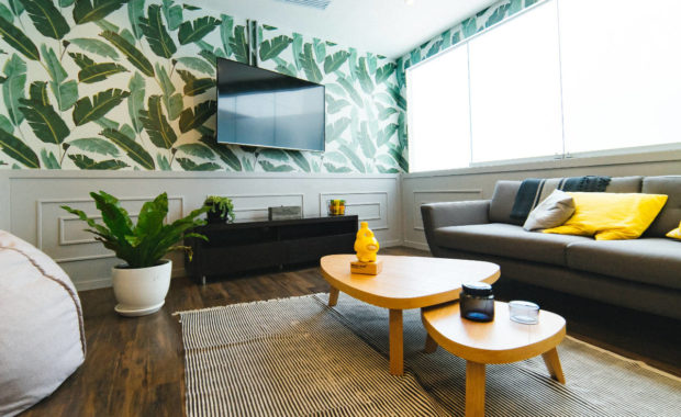 interior design of vibrant living room